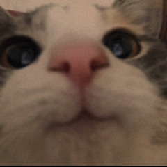 ナルト
