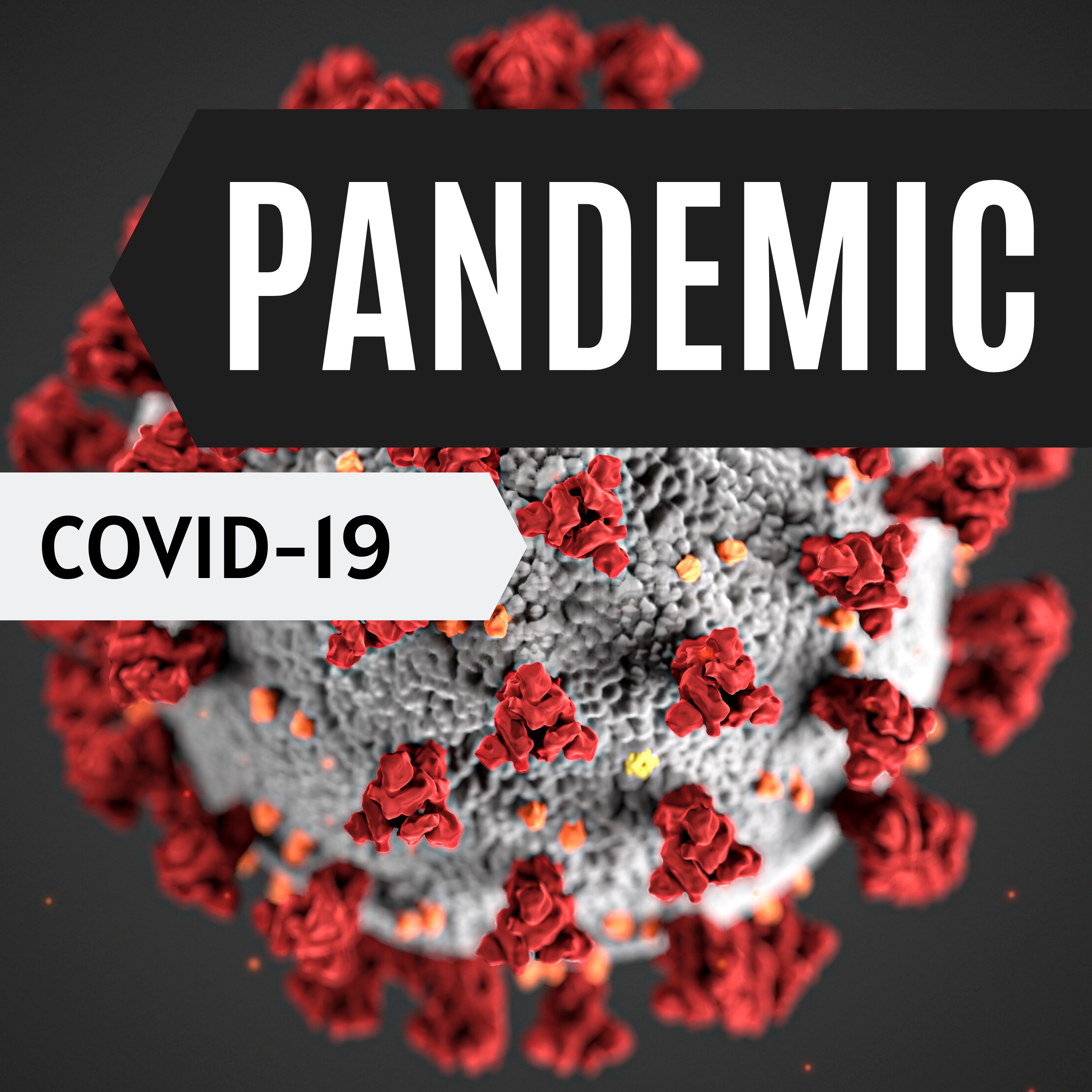 Pandemic: COVID-19