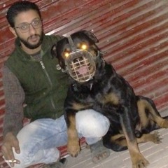 M7moud
