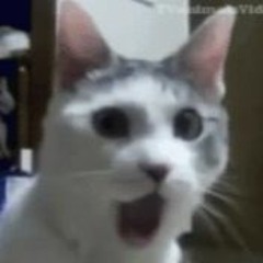 tem
