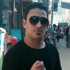 محمد شلقامى