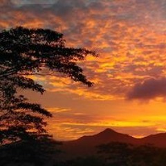 Frederick Desjardins