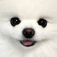 𝐏𝐥𝐚𝐲𝐥𝐢𝐬𝐭 🎧