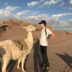 João Vitor Batistela
