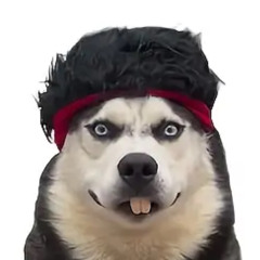 zeb