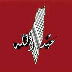 Abdullah Rafat El Shafei