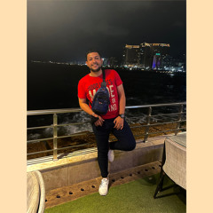 Alaa Elhalwagi