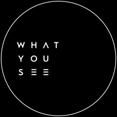 WHAT YOU SEE