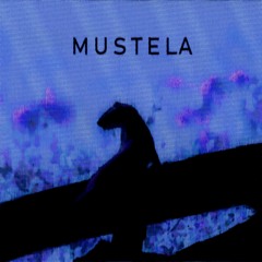 MUSTELA