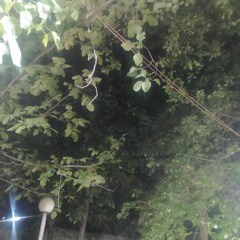 ایرج