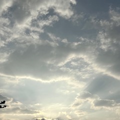 きど。