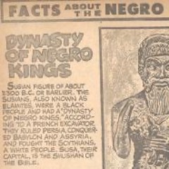 Ep22 Facts about the Negro