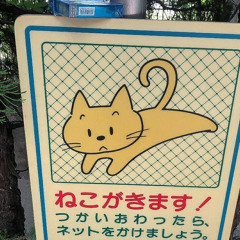 あい