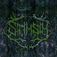 StimSim