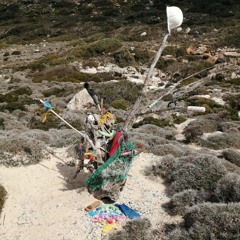 goldschakal