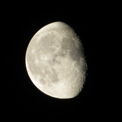 Mark Wilkinson (Judah)