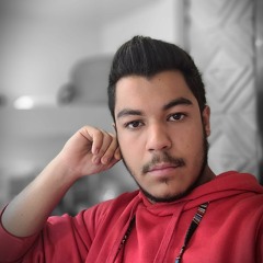 yasin vr1382