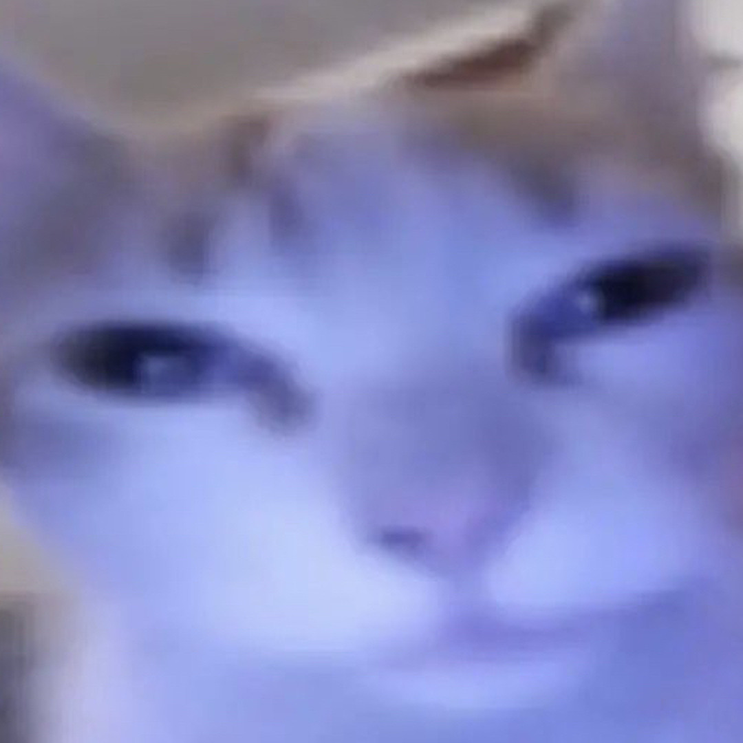 zinkle’s avatar