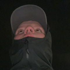 räven