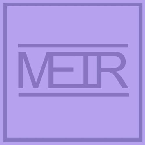 MEIR’s avatar