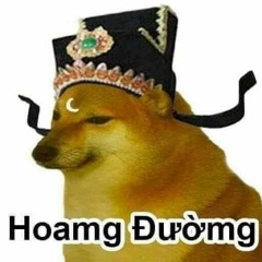 cheems công