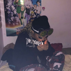 wildkat