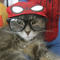 Cozmo_ Catz