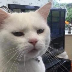 Fibruh