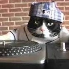 DJ cat