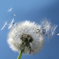 fluokri