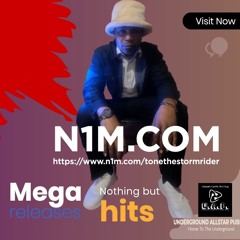 T.O.N.E.!TheStrormRider