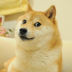 AmirGridox