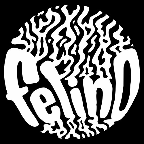 felino’s avatar