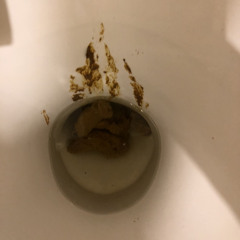 Пупсик Хандона