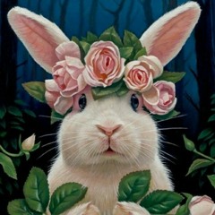 🐇5678🐰Yes🌸l'm🥕Rabit🍨Yur?🌷