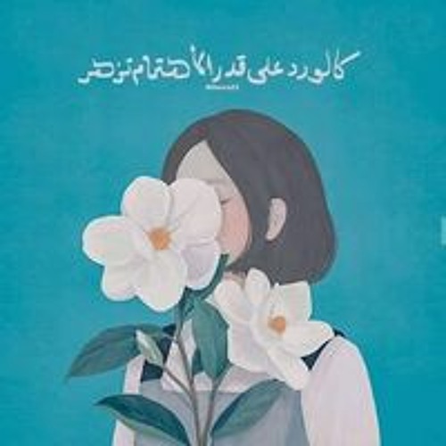 Heba Ahmed’s avatar