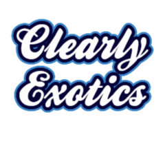 clearlyexotics