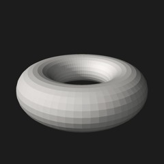 TOROID
