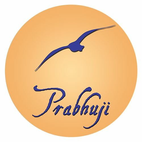 Prabhuji’s avatar