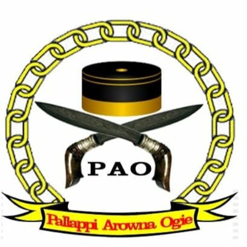 Pallapi Arona Ogi E S Stream