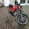 Snt.robin