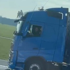 DylanDespiegelaere