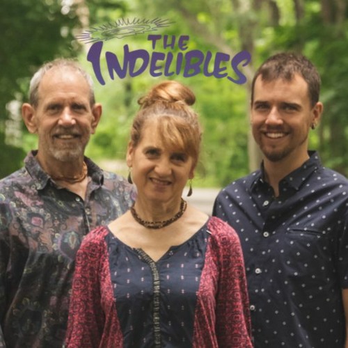 The Indelibles’s avatar