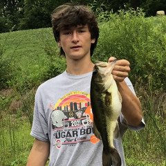 Austin Dulay