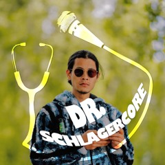 Dr.Schlagercore
