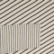 Zebra Centauri