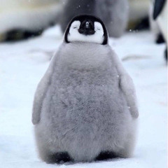 شرين عبد الوهاب ___ يعنى ايه يعنى خلاص انا مش هشوف - 128K MP3.mp3