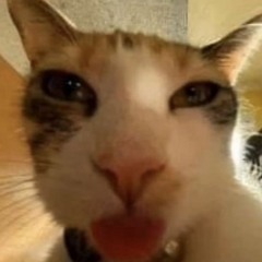 VenusLovesYou