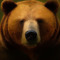 grizzleyb