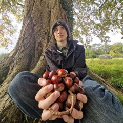 Aaronsweeney2008
